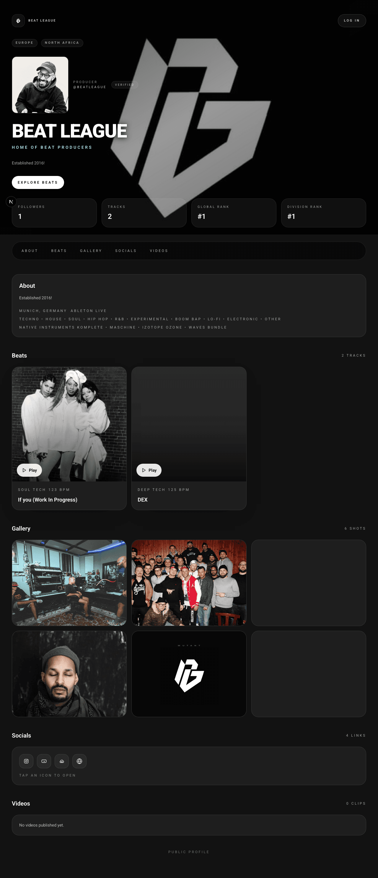 Public profile preview